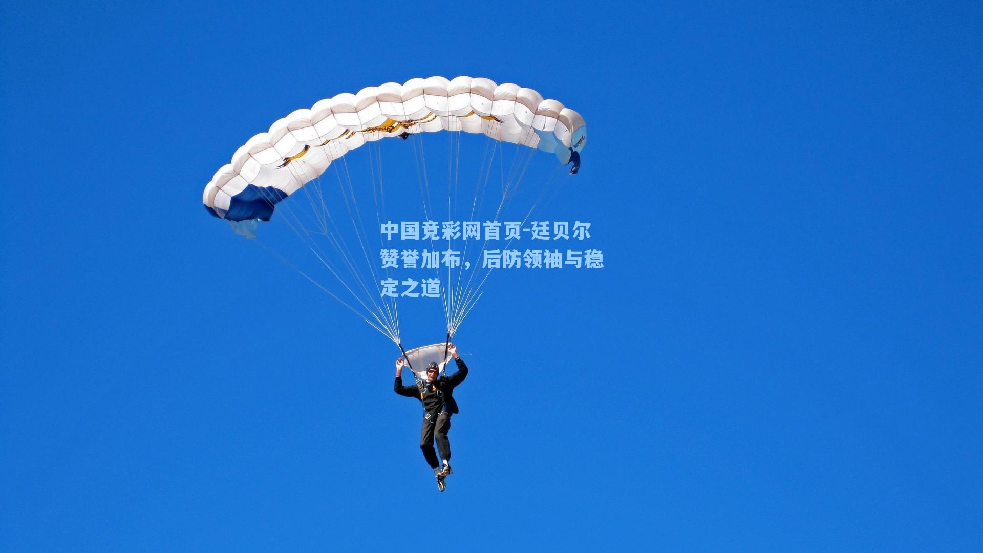 廷贝尔赞誉加布，后防领袖与稳定之道